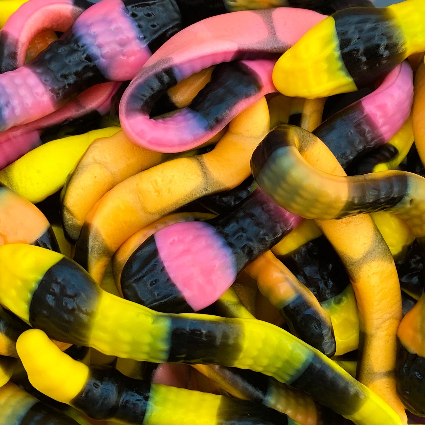 Grand boa 100 gr