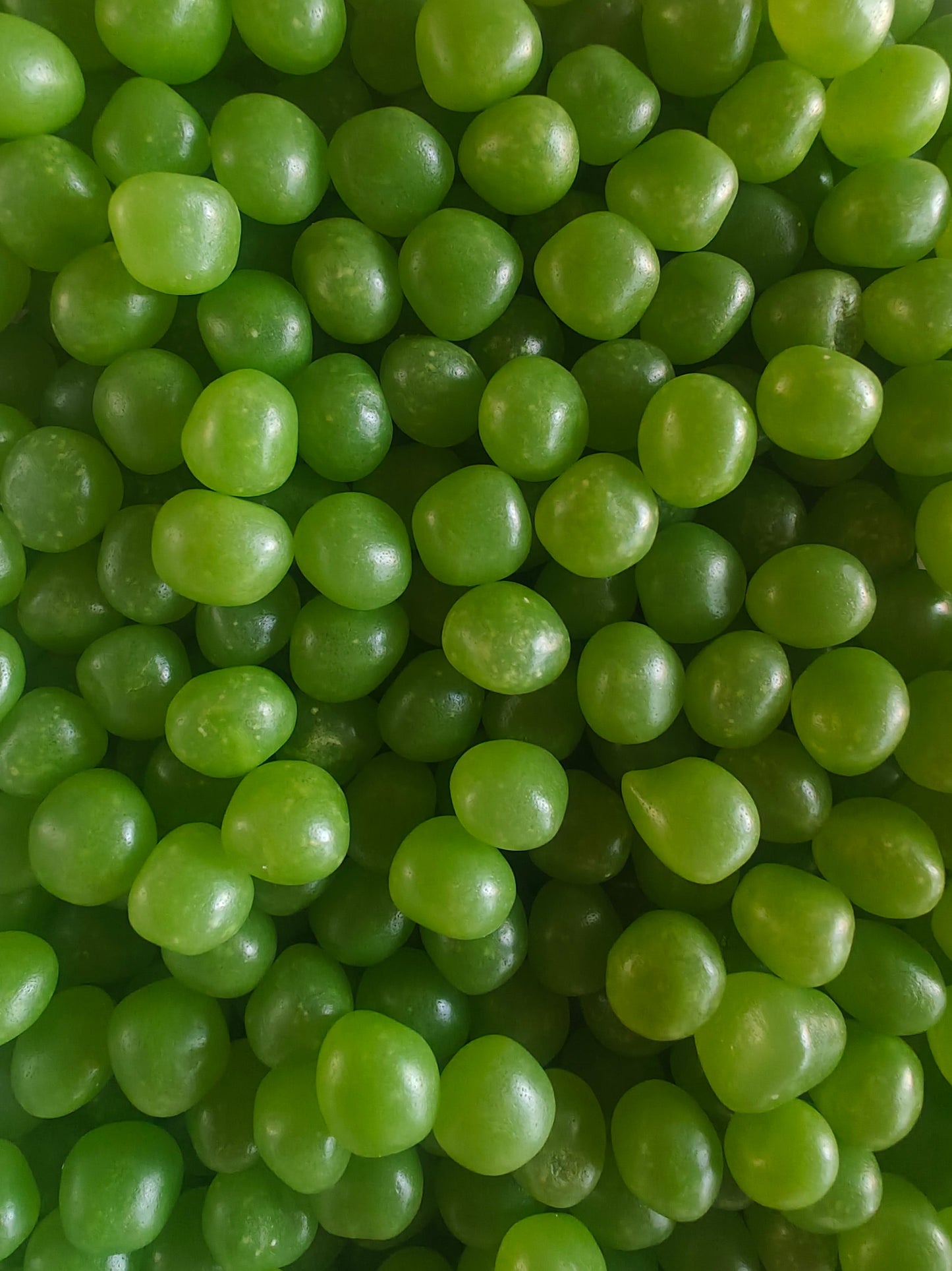 Petit Dragibus vert 100 gr