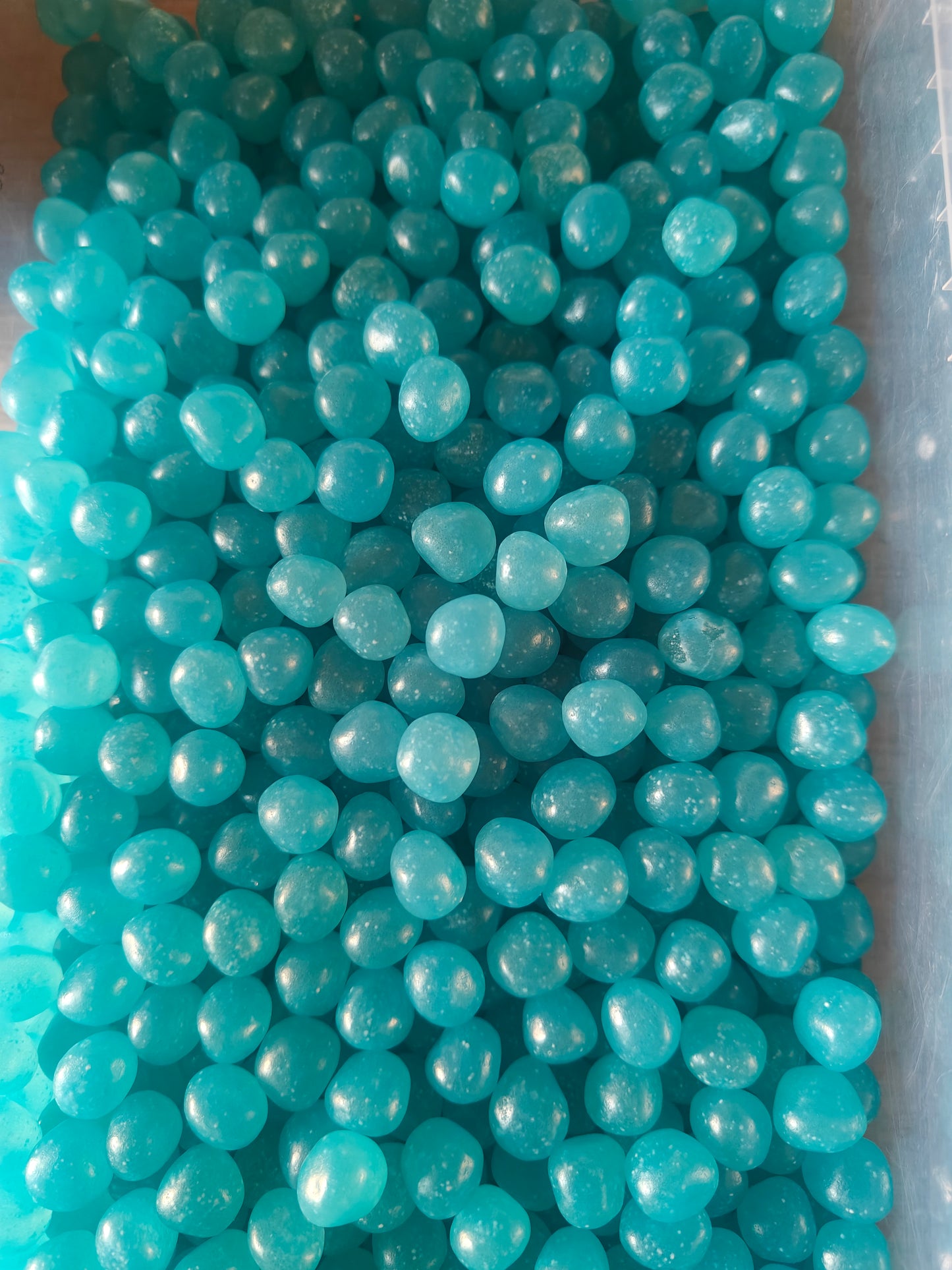 Petit Dragibus bleu 100 gr
