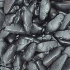 Souris noire Joris 100 gr