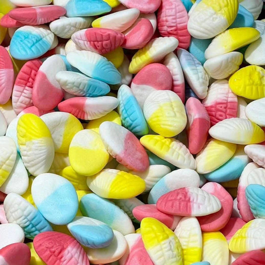 Palourde 100 gr