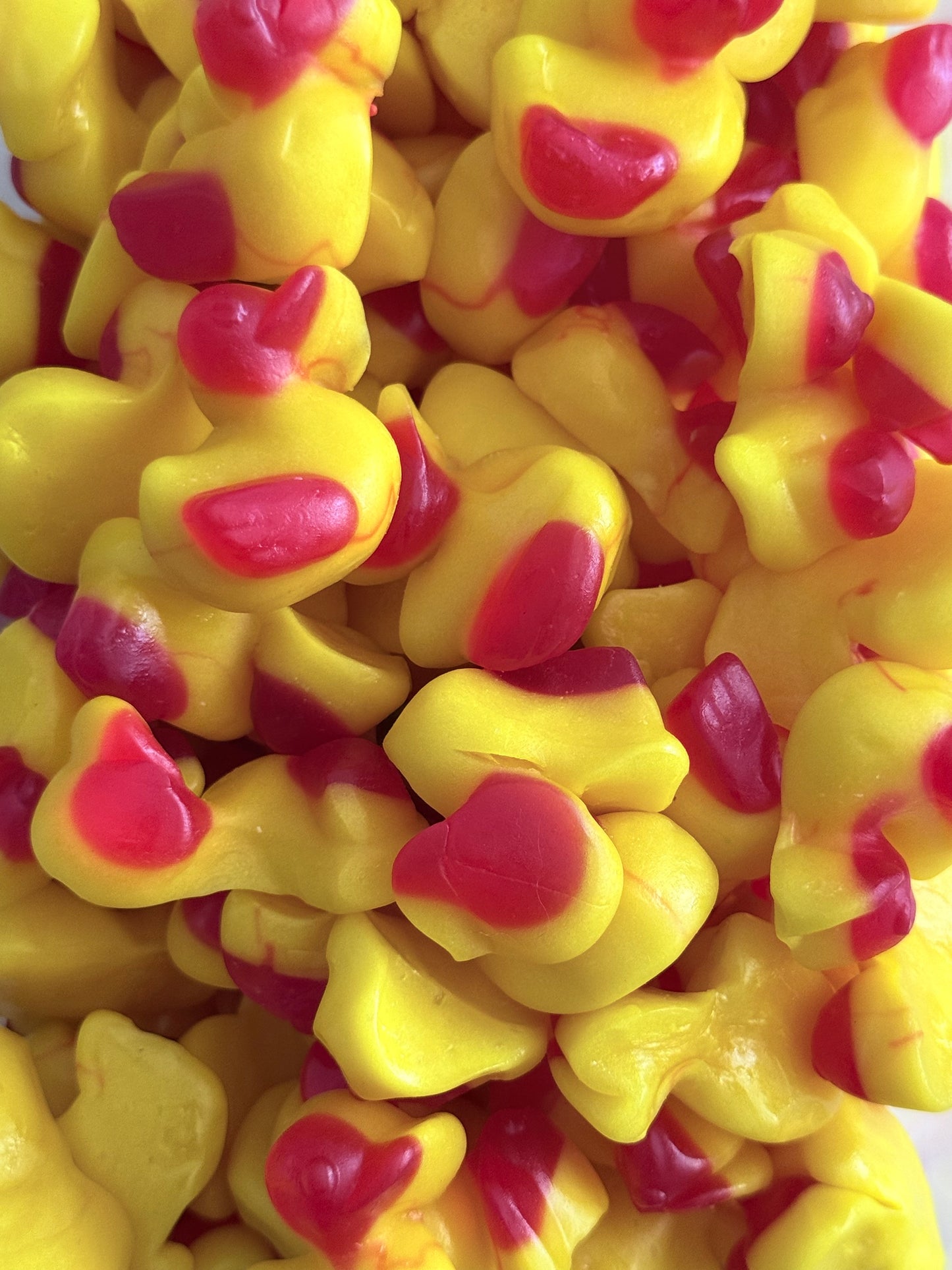 Canard 100 gr