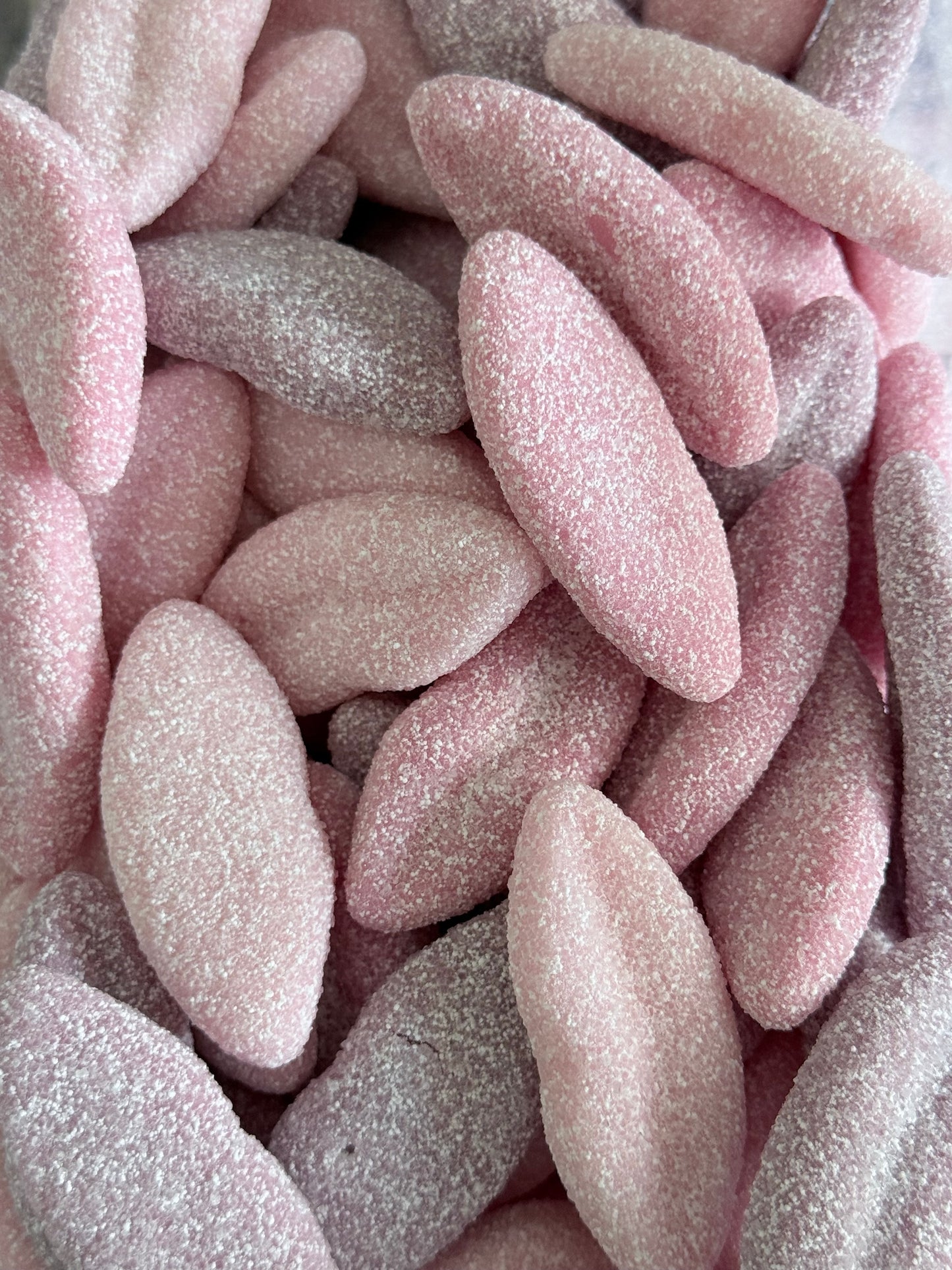 Frisia lèvre rose/ mauve sour 100 gr