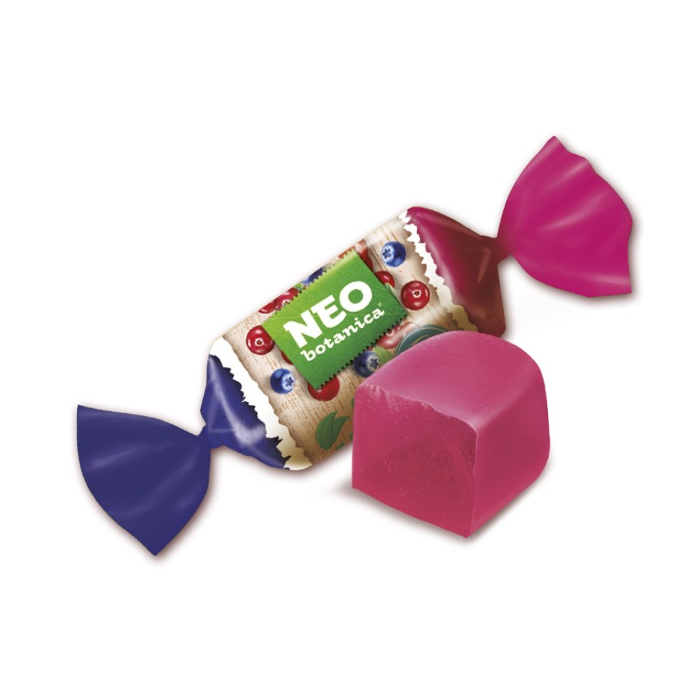 Neo sans sucre fruits de forêt 100 gr