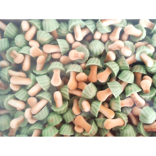 Champignon chocolat pistache 10 pc