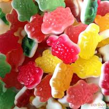 Tortue Astra 100 gr
